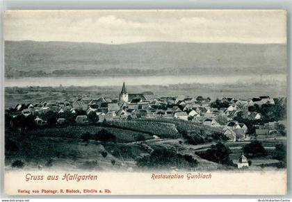 38143727 - Hallgarten , Rheingau