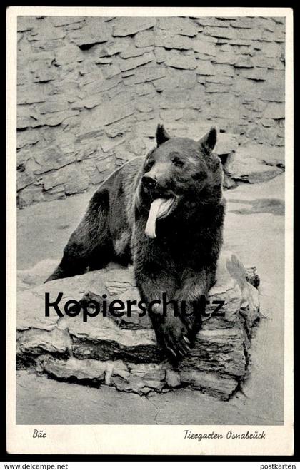 ÄLTERE POSTKARTE OSNABRÜCK TIERGARTEN OSNABRÜCKER ZOO BÄR Braunbär ours bear Ansichtskarte AK cpa postcard