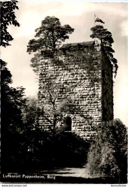 Pappenheim - Burg