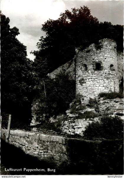 Pappenheim - Burg
