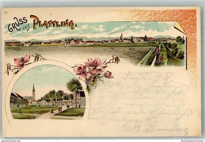 13303688 - Plattling