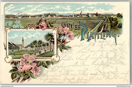 13663097 - Plattling