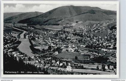 50357441 - Plettenberg