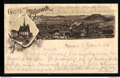 Lithographie Pössneck, Totalansicht, Rathaus