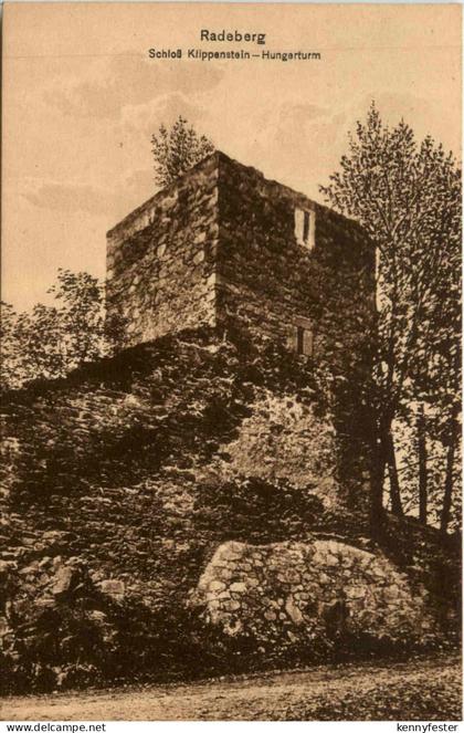 Radeberg, Schloss Klippenstein-Hungerturm