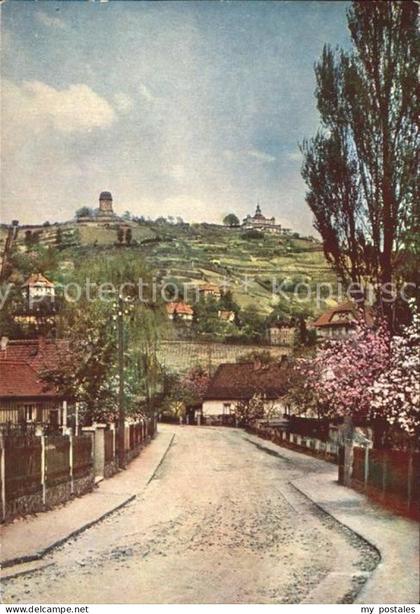 Radebeul Friedensburg und Wasserturm Bluehende Loessnitz