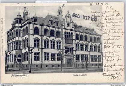 51638477 - Frankenthal (Pfalz)