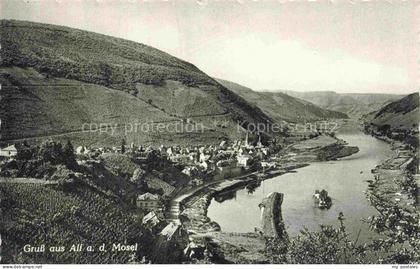 Alf Bullay Mosel Panorama