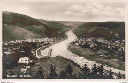 Alf Bullay Mosel Panorama
