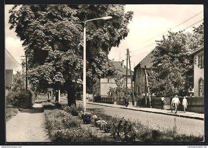 AK Rossleben /Kr. Artern, Ziegelrodaer Strasse mit Passanten