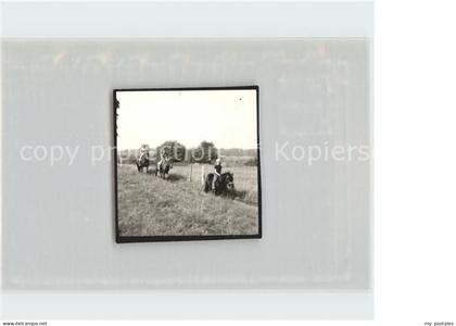 Rotenburg Wuemme Reiter