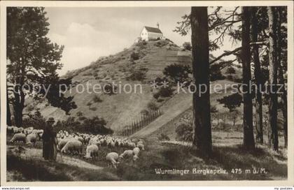 Wurmlingen Rottenburg Bergkapelle Schafherde Schaefer