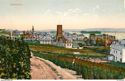 Ruedesheim Rhein Panorama