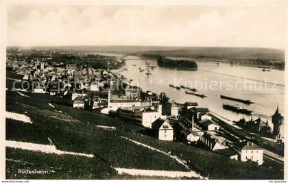 Ruedesheim Rhein Panorama