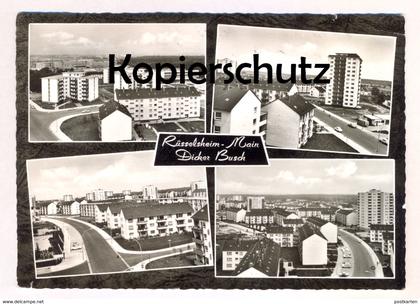 ÄLTERE POSTKARTE RÜSSELSHEIM MAIN DICKER BUSCH Ansichtskarte AK cpa postcard