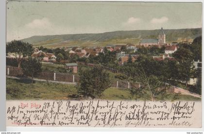 (79817) AK Bad Bibra, Gesamtansicht, 1906