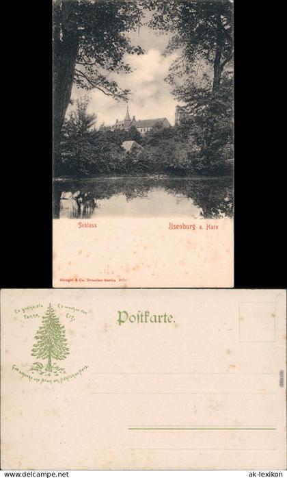 Ansichtskarte Ilsenburg (Harz) Ilsenburg Schloss 1905