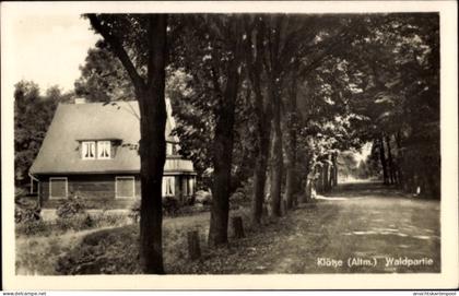 CPA Klötze in der Altmark, Waldpartie