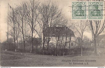 Deutschland - Grünewalde bei Schönebeck a. Elbe (ST) Königliche Oberförsterei
