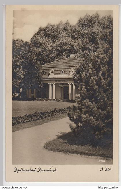 (45833) AK Bad Brambach, Wettin-Quelle, SSt 1955