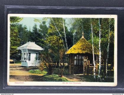 Ansichtskarte Naunhof an der Kur-Trinkhalle - 1925