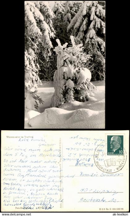 Ansichtskarte .Sachsen Sächsisches Vogtland Winterzauber im Vogtland 1966