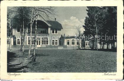 Carolagruen Schoenheide Erzgebirge Krokuswiese