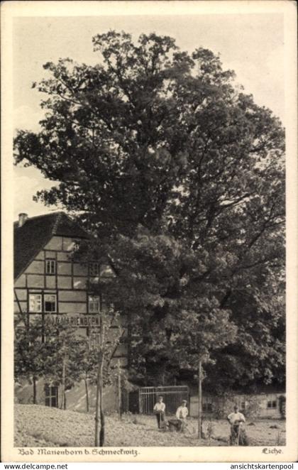 CPA Bad Marienborn Schmeckwitz Räckelwitz Oberlausitz, Eiche, Gasthof