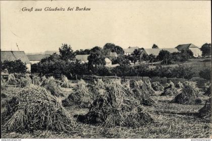 CPA Glaubnitz bei Burkau in Sachsen, Teilansicht, Feld, Heuhaufen