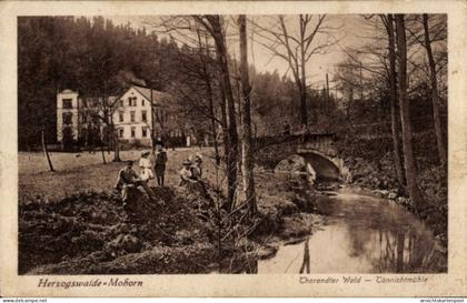CPA Herzogswalde Mohorn Wilsdruff Sachsen, Tharandter Wald, Tännichtmühle