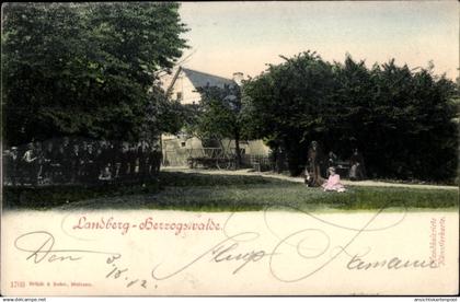 CPA Herzogswalde Wilsdruff in Sachsen, Landberg, Kindergruppe im Schatten eines Baumes, Familie