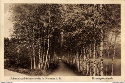 CPA Johannisbad Schmeckwitz Räckelwitz Oberlausitz, Birkenpromenade