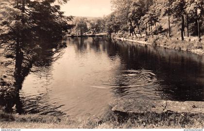 Deutschneudorf (Erzgeb.) Teich gl #195.852
