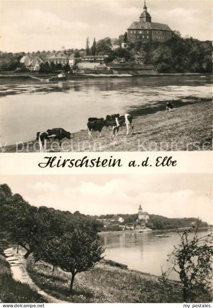 Hirschstein Elbe Riesa Schloss Panorama