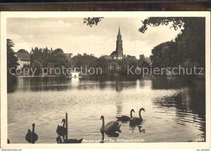 Neugersdorf Sachsen Schwanenteich