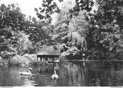 Schlettau Schloßteich gl1967 #195.813