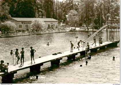 Schmannewitz Dahlen Sachsen Waldbad