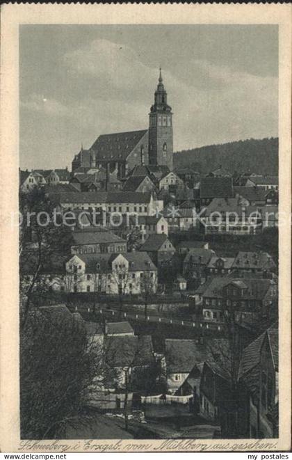 Schneeberg Erzgebirge Blick vom Muehlberg mit St Wolfgangkirche