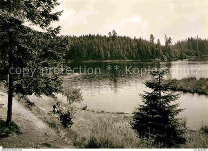 Tannenbergsthal Vogtland Vogtland See