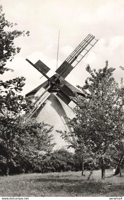 Windmühle in Syrau Vogtland Sachsen Postkarte AK