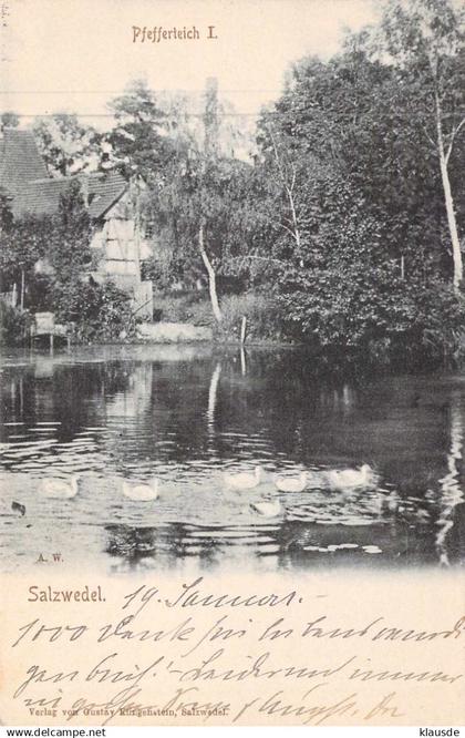 Salzwedel - Pfefferteich gel.1903 AKS