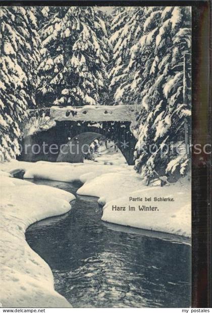 Schierke Harz Bruecke