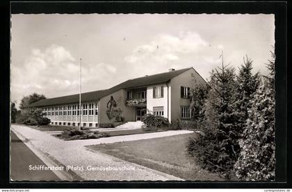 AK Schifferstadt /Pfalz, Teilansicht der Gemüsebauschule