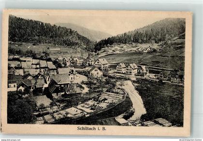 10657859 - Schiltach