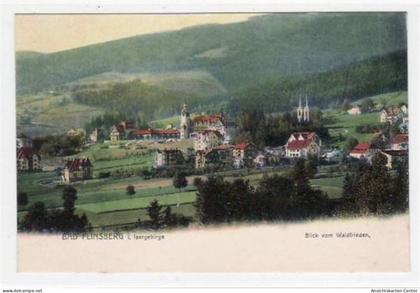 39073037 - Bad Flinsberg / Swieradów-Zdrój, Kreis Loewenberg / Lwówek Slaski, Blick v. Waldfrieden. ungelaufen um 1900