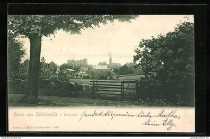 AK Schönwalde i. Holst., Ortsansicht mit Kirche