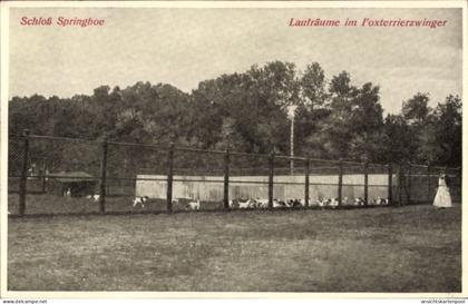 CPA Springhoe Hohenlockstedt in Holstein, Schloss Springhoe, Laufräume im Foxterrierzwinger