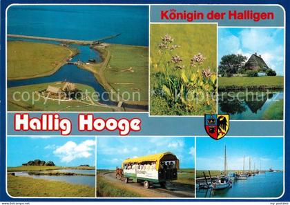 Hallig Hooge Landschaftspanorama Pferdewagen Hafen Natur Koenigin der Halligen