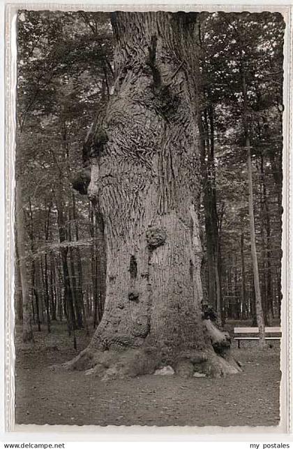 Kellenhusen Ostseebad Kellenhusen
