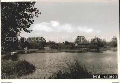 Schoenwalde Bungsberg Partie am Muehlenteich